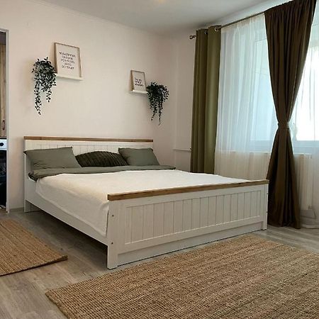 Carol Apartament'S 蒂米什瓦拉 外观 照片