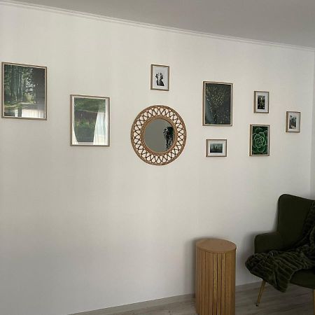 Carol Apartament'S 蒂米什瓦拉 外观 照片