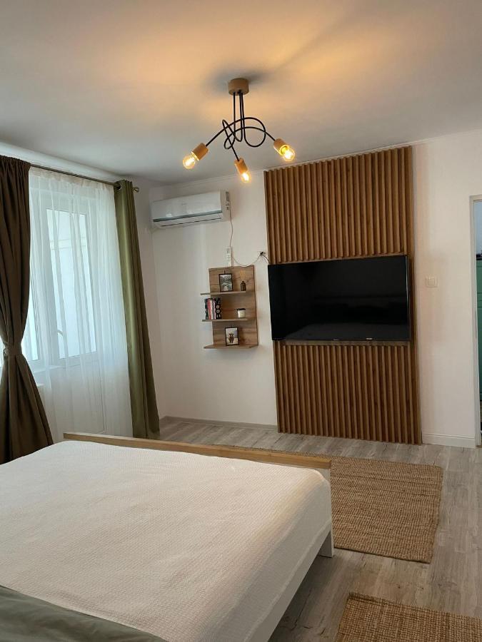 Carol Apartament'S 蒂米什瓦拉 外观 照片