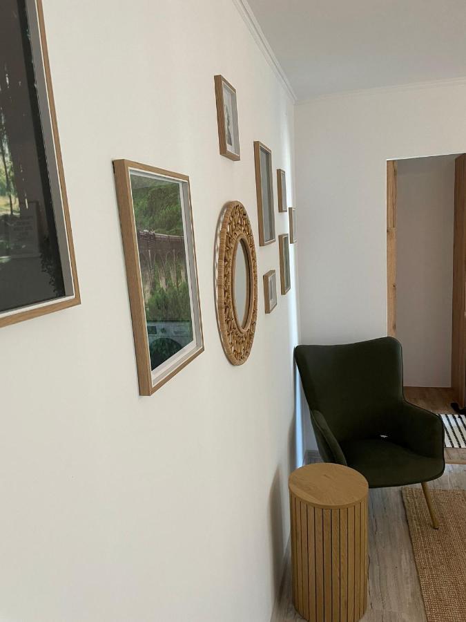 Carol Apartament'S 蒂米什瓦拉 外观 照片