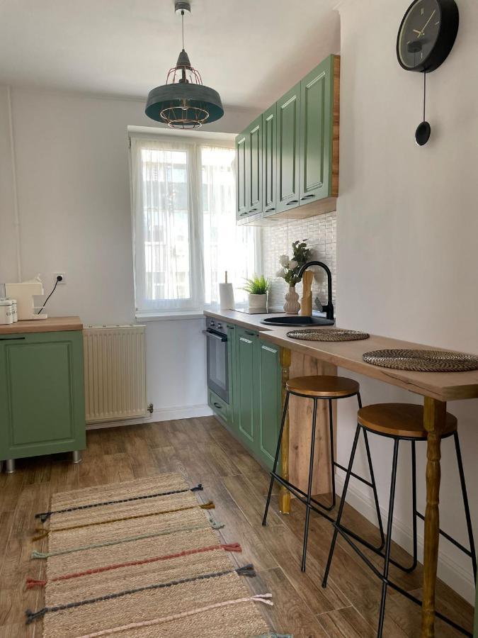 Carol Apartament'S 蒂米什瓦拉 外观 照片
