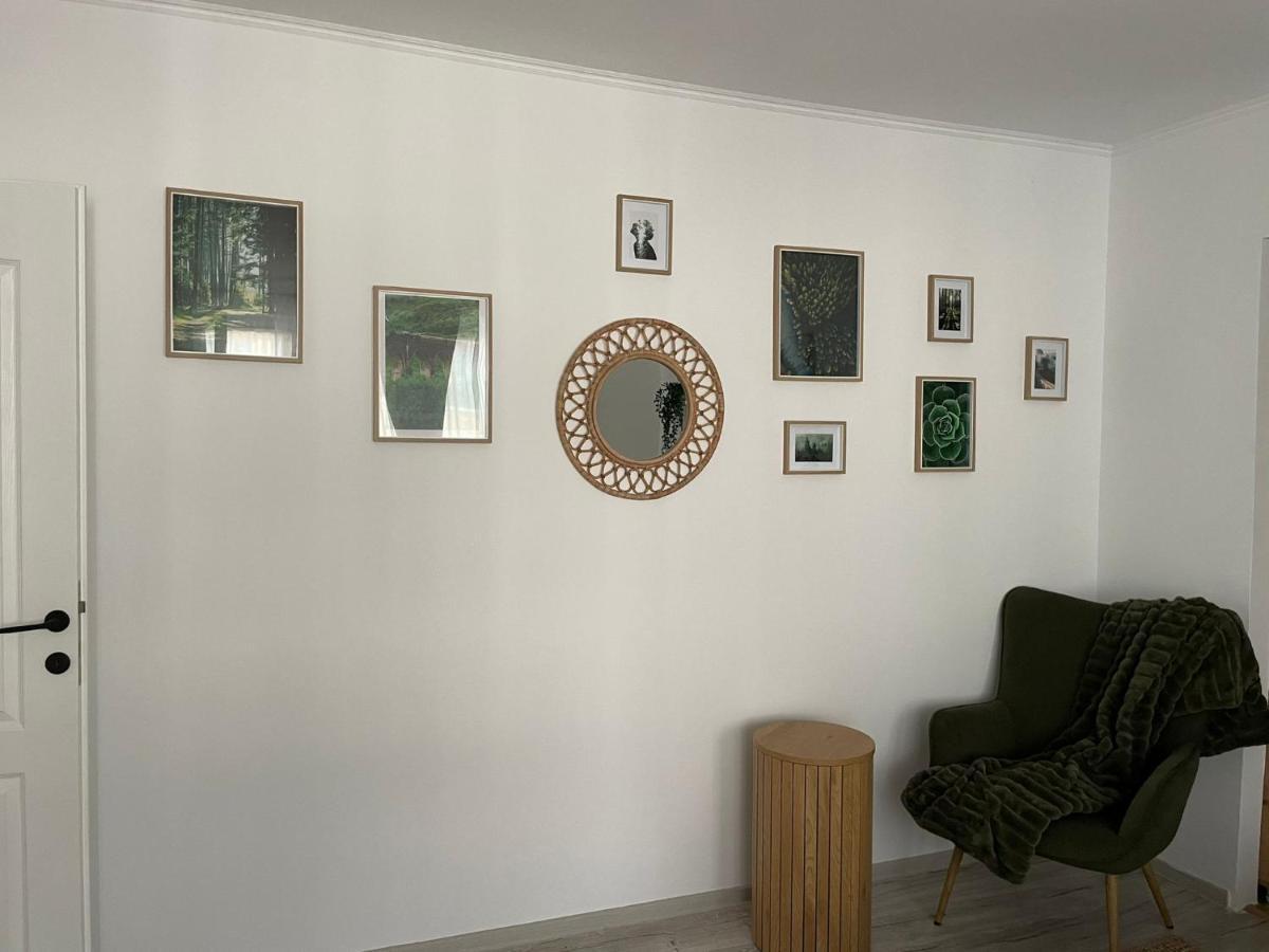 Carol Apartament'S 蒂米什瓦拉 外观 照片