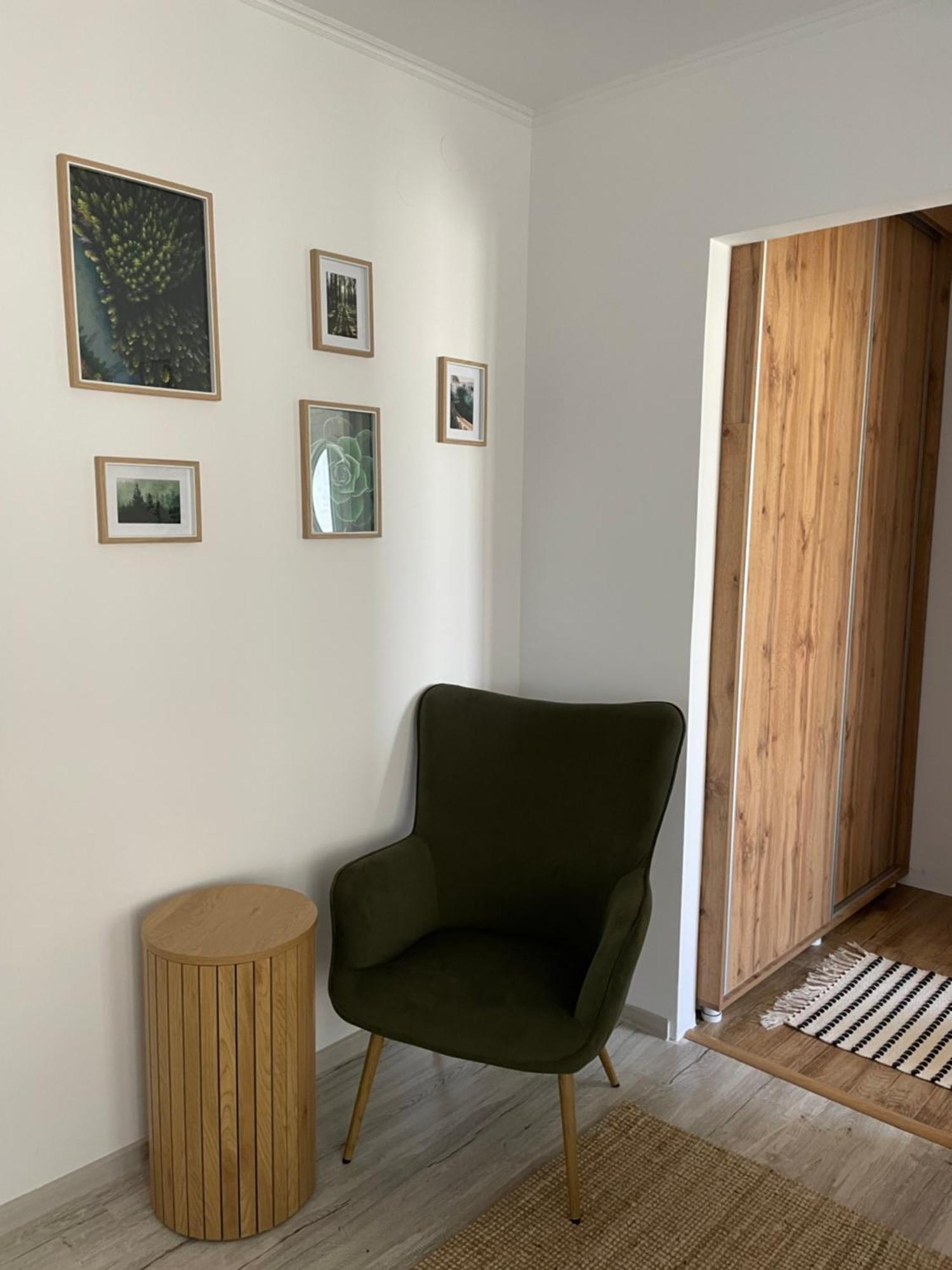 Carol Apartament'S 蒂米什瓦拉 外观 照片